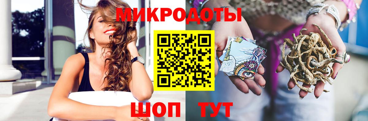 Галлюциногенные грибы Cubensis Кузнецк