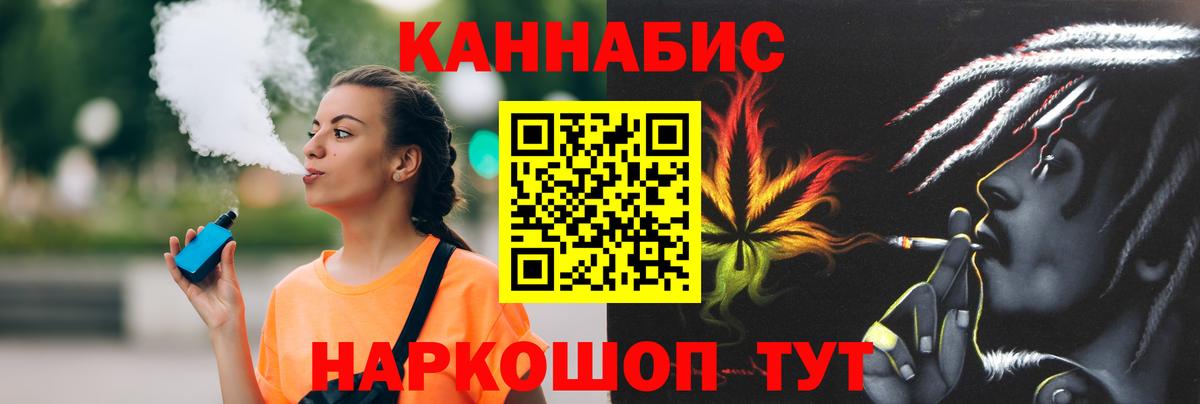 Каннабис сатива Кузнецк